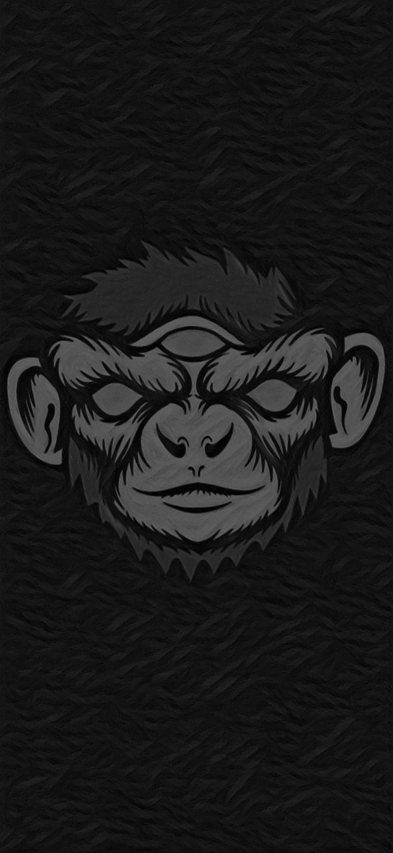 Higher Primate, ape, best, monkey, psicodelia, rogan, third eye, HD phone wallpaper