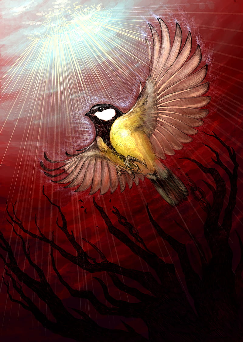 chickadee, bird, rays, shine, tree, art, HD phone wallpaper