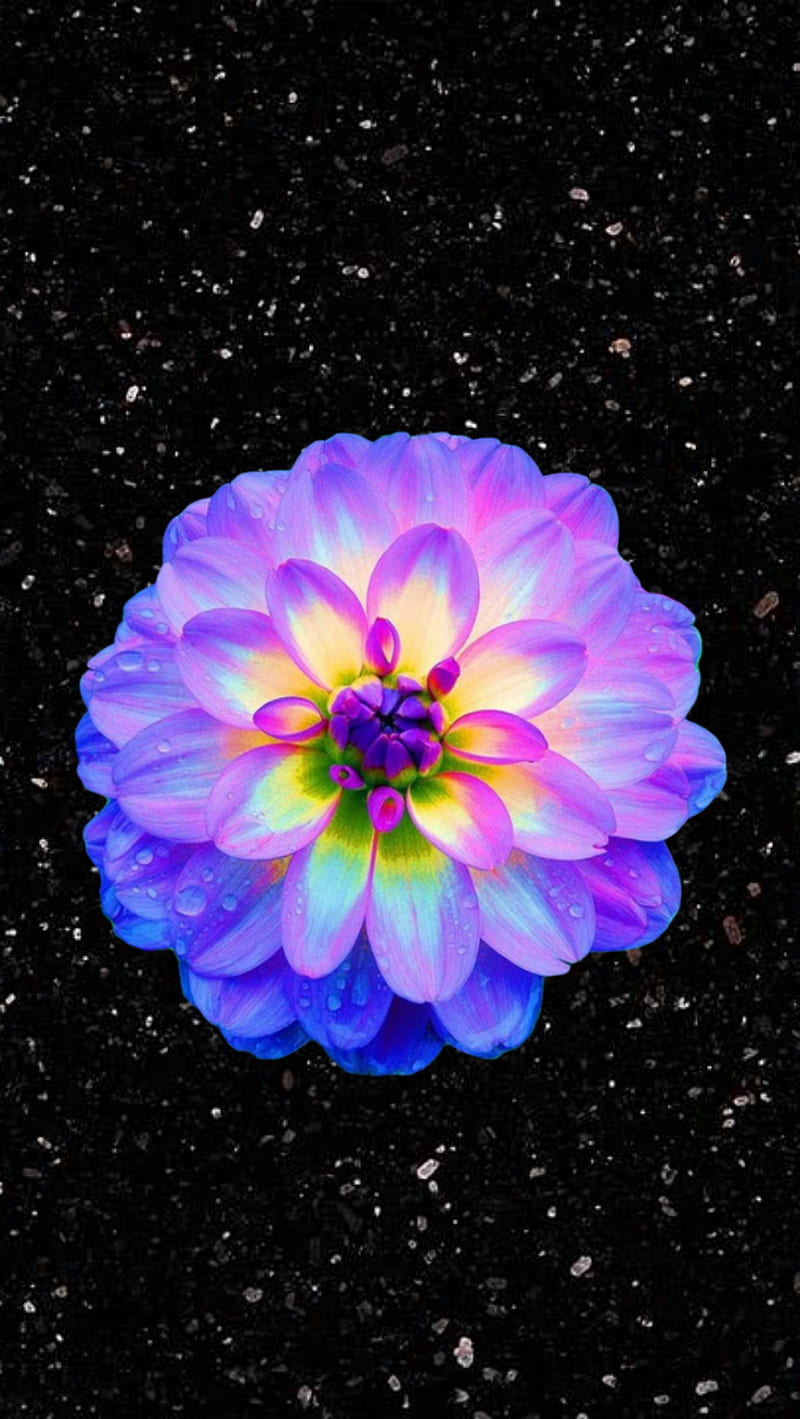 Pretty Bright Flower, background, black, galaxy, glowing, neon, space, HD  phone wallpaper | Peakpx