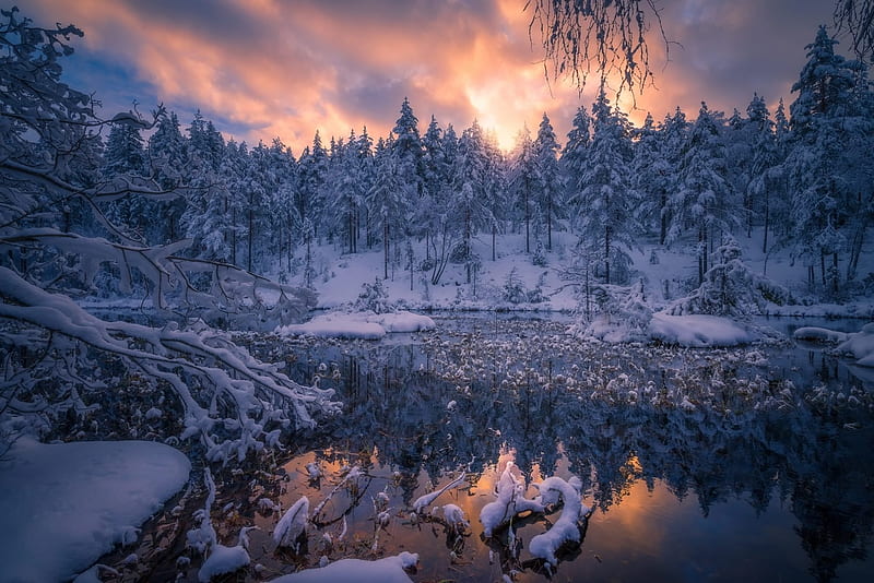 Winter River, Trees, River, Snow, Nature, Winter, HD wallpaper | Peakpx