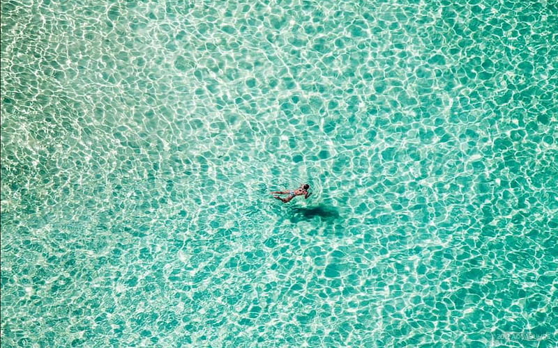 LONE SWIMMER AT BONDI BEACH, Water, Beach, Australia, Swimming, Nature, Bondi, Sydney, HD wallpaper
