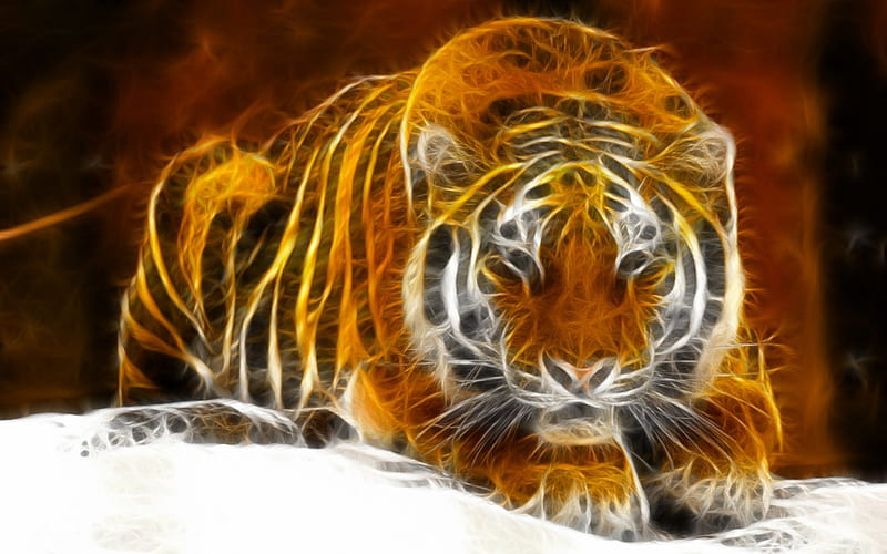 Tiger, Abstract, Graffiti, 3D, HD wallpaper