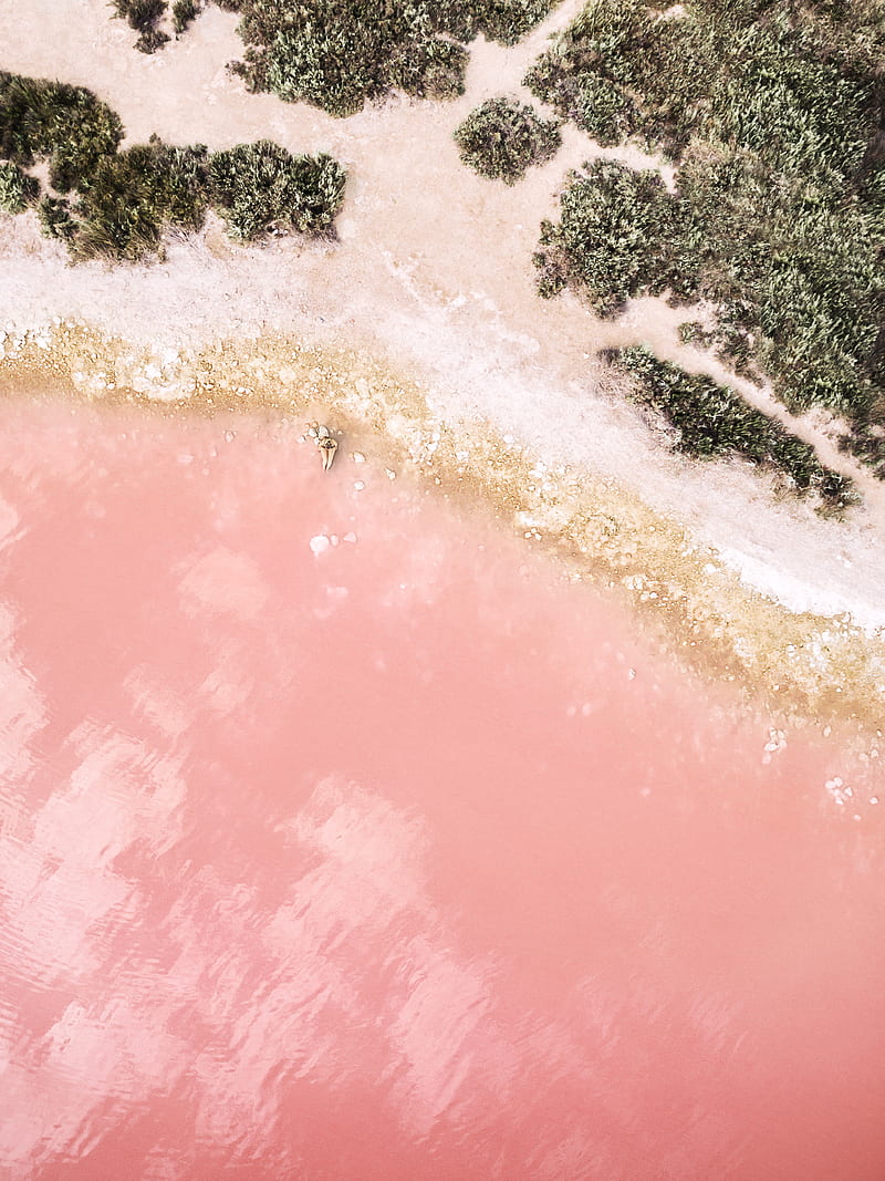 beach, sand, rocks, women, aerial view, pink, water, beige, shrubs, HD phone wallpaper
