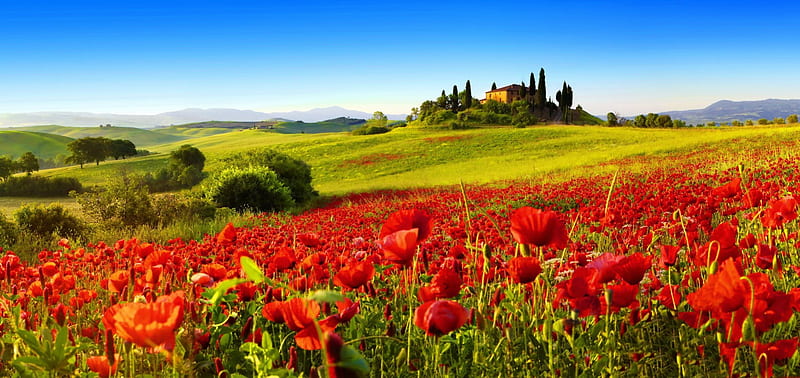 Toscana, pretty, house, grass, Italy, bonito, Tuscan, nice, flowers, hill, lovely, greenery, spring, sky, trees, freshness, slope, summer, nature, castle, meadow, field, landscape, HD wallpaper