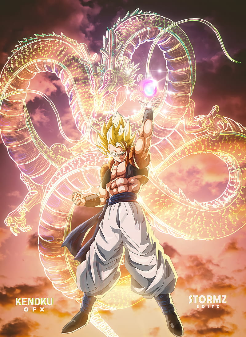 Dragon Ball Super: Broly, Gogeta, art, 1080x2160 wallpaper  Dragon ball  super wallpapers, Dragon ball super, Dragon ball