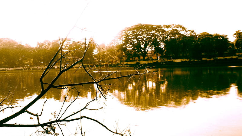 A pond, Guwahati, nature, Pond, Sunset, HD wallpaper