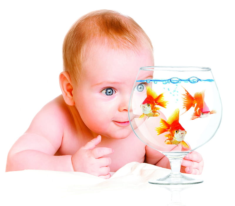 The child, Water, Fish, Wineglass, Child, HD wallpaper
