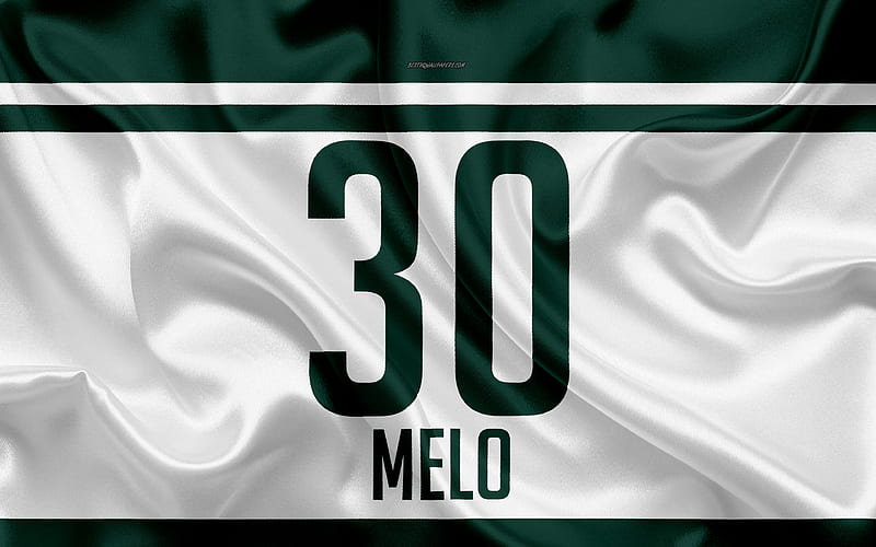 Felipe Melo, T-shirt, Palmeiras, 30th number, Eduardo Pereira Rodrigues, Serie A, Sao Paulo, Brazil, football, Sociedade Esportiva Palmeiras, Melo, HD wallpaper