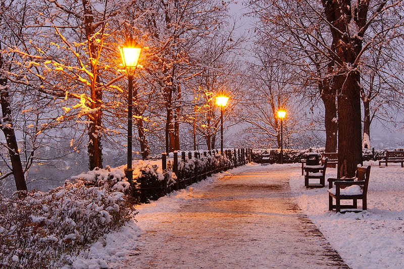 Winter park, snow, bench, bonito, walk, park, alley, winter, light, trees, HD wallpaper