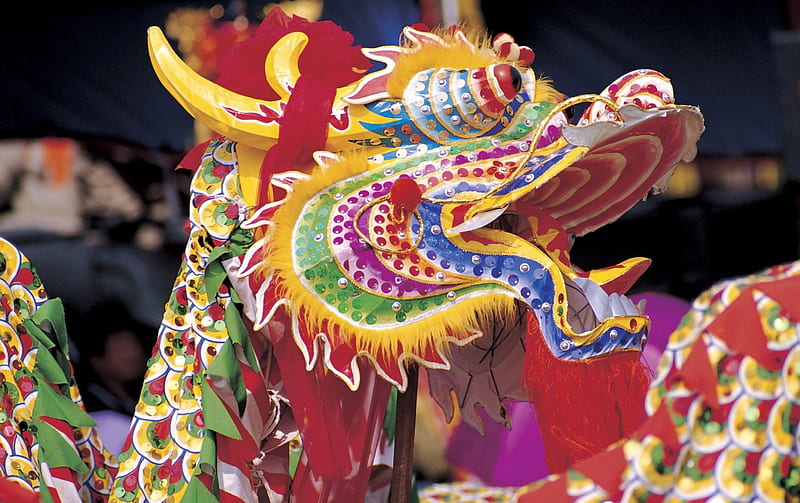 Dragon head, festival, colorful, oriental, Chinese, dragon, HD wallpaper