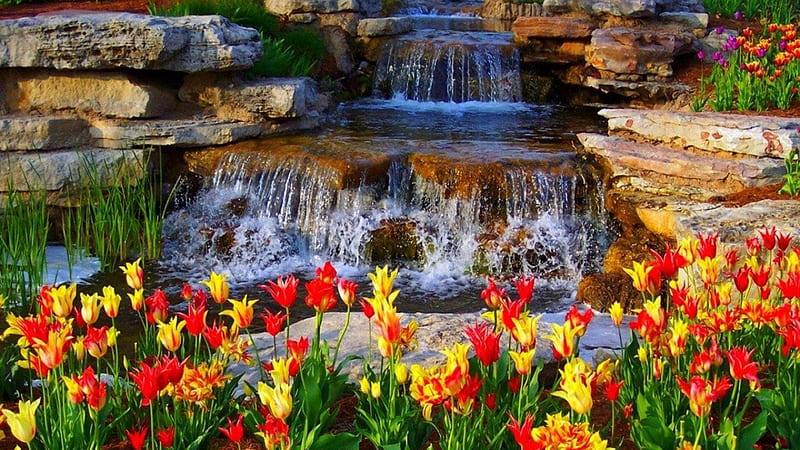 Waterfall On Rocks Closeup View Of Red Yellow Flowers Green Leaves Plants Bushes Nature, HD wallpaper
