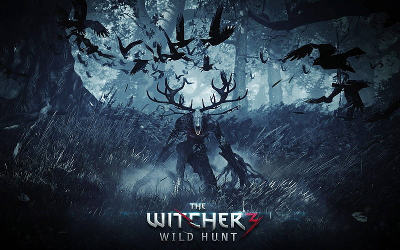 Witcher 3, The Witcher 3 Logo, HD wallpaper
