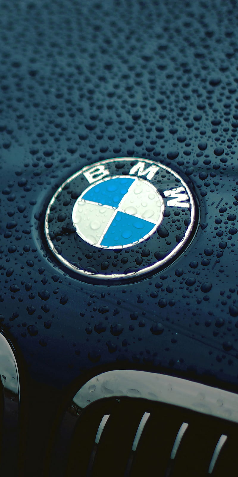 BMW Logo, badge, car, car brand, drops, emblem, vehicle, wet, HD phone wallpaper