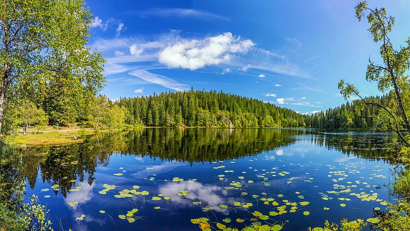 Oslo County, Skjennungen Lake, Norway, sky, water, reflections, landscape, clouds, trees, HD wallpaper