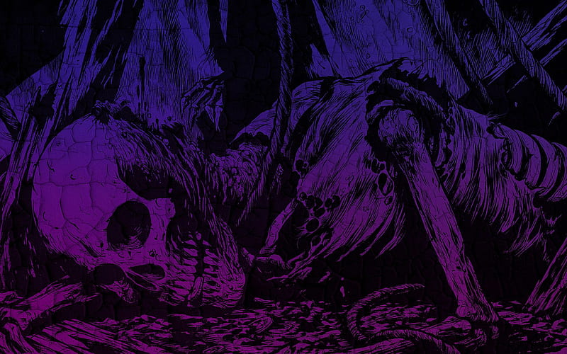 Dark Skull, skeleton, purple, skull, dark, HD wallpaper