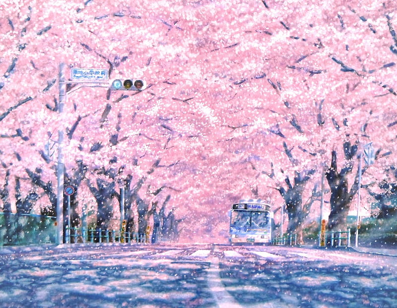 Sakura Street, sakura, japan, road, orginal, scenery, HD wallpaper