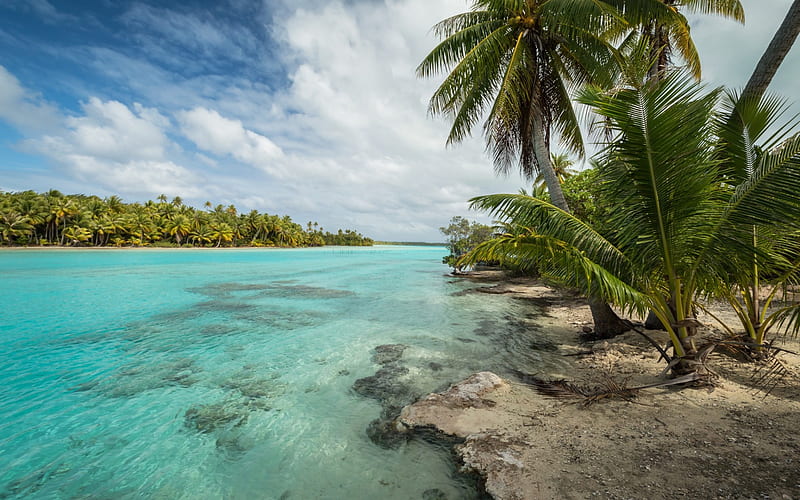 tropical islands, ocean, azure lagoon, Bora Bora, sea, waves, palm trees, HD wallpaper
