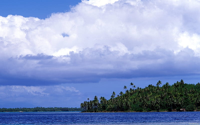 Tahiti coconut island, HD wallpaper