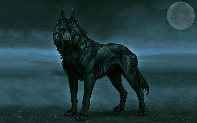 black wolf, night, green eyes, moon, fog, wildlife, HD wallpaper