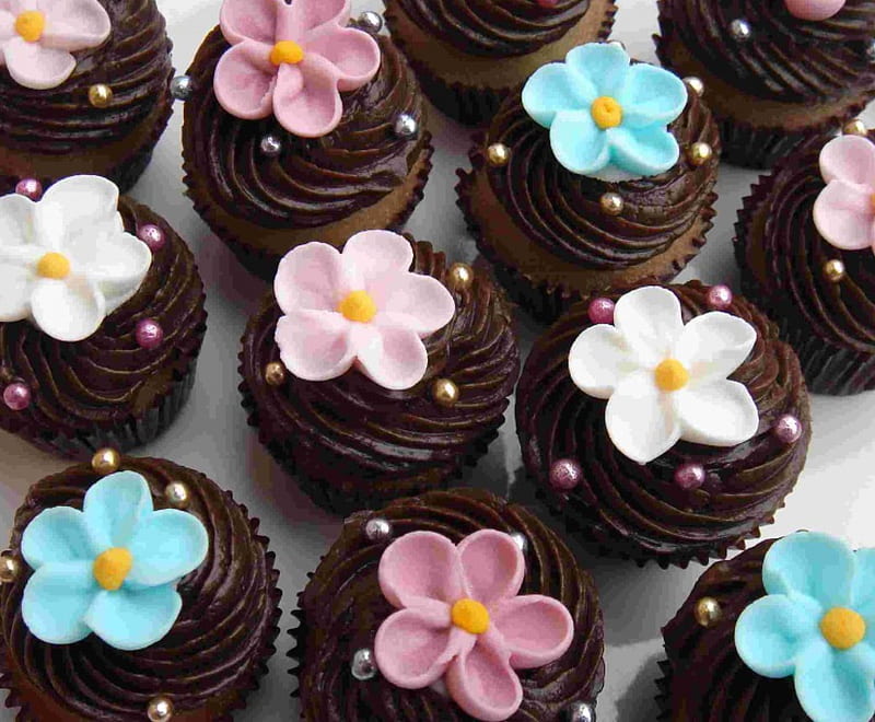 cupcake choc, cake, cupcake, chocolate, HD wallpaper