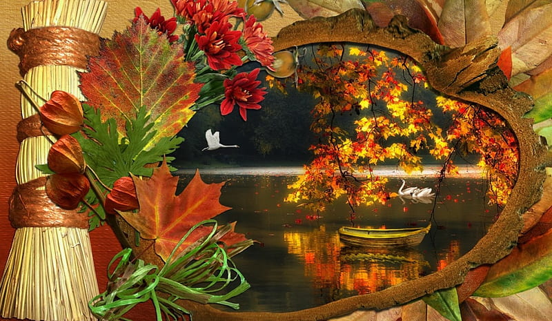 *The beauty of autumn*, fall, autumn, frame, lake, swans, leaves, calm, serenity, beauty, season, HD wallpaper