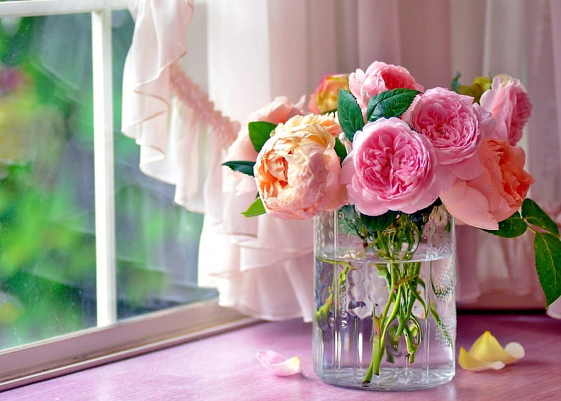 Bouquet of roses, pretty, window, view, home, vase, scent, bonito, roses, fragrance, still life, leaves, bouquet, flowers, petals, HD wallpaper