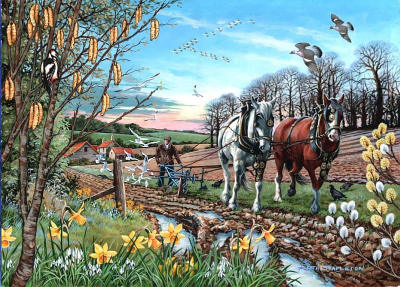 The Last Furrow, springtime, daffodils, birds, man, artwork, horses, painting, blossoms, flowers, field, HD wallpaper