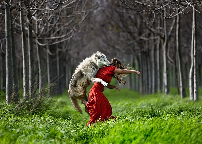 Captured, forest, grass, trees, abstract, woman, tree, fantasy, wolf, HD wallpaper