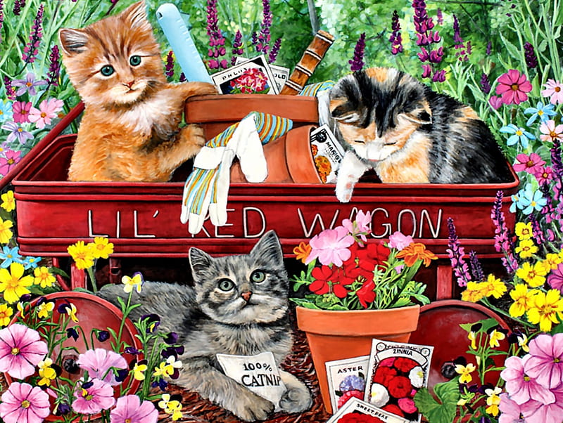 Lil' Red Wagon - Cats F1, art, kittens, bonito, cat, artwork, animal, pet, feline, wagon, painting, wide screen, flowers, HD wallpaper
