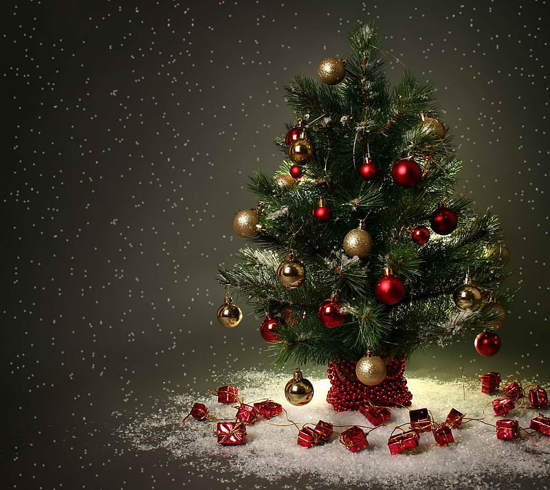 Christmas Tree, holiday, HD wallpaper