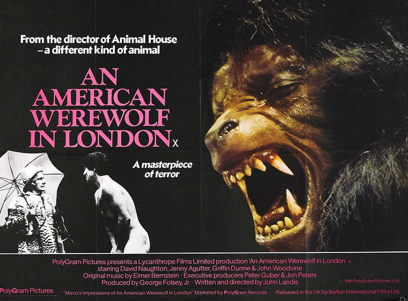 An American Werewolf in London Greeting Card & Horror Movie Classics Wrapping Paper Includes up to 8 Feet of Scary Gift Wrap plus a FREE Silver Ink Pen! Premium Birthday Card and Black Envelope 