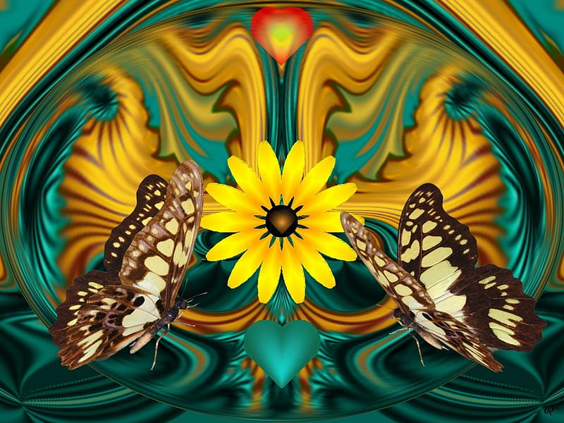 Butterfly, 3d, fractal, collage, abstract, eye candy, HD wallpaper