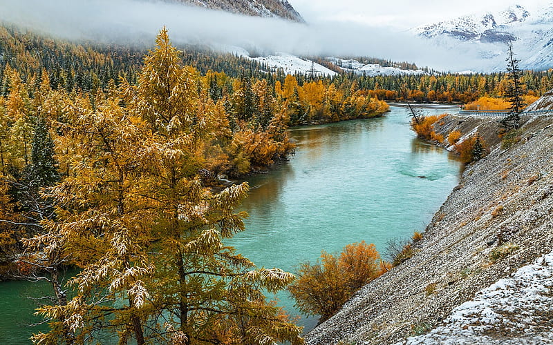 Altai mountains, autumn, Chuya river, Altai, Russia, snow, mountain landscape, yellow trees, HD wallpaper