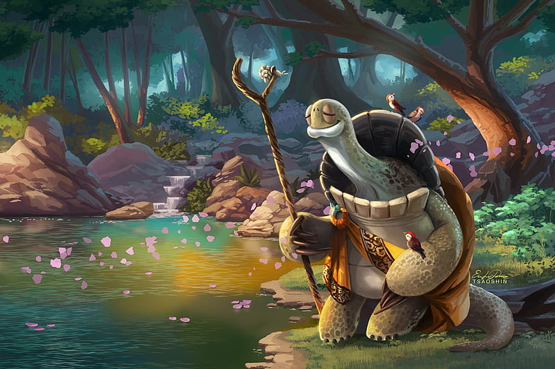 Master oogway HD wallpapers  Pxfuel