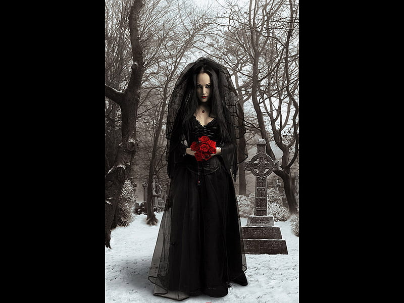 Black Widow, art, rose, gothic girl, woman, digital, portrait, HD ...