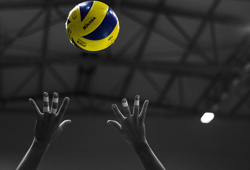 Volleyball , sports, HD wallpaper