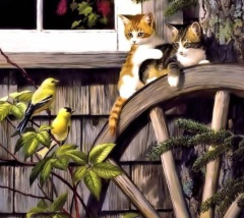 Kitten watching Birds, Kitten, Painting, watching, Birds, HD wallpaper