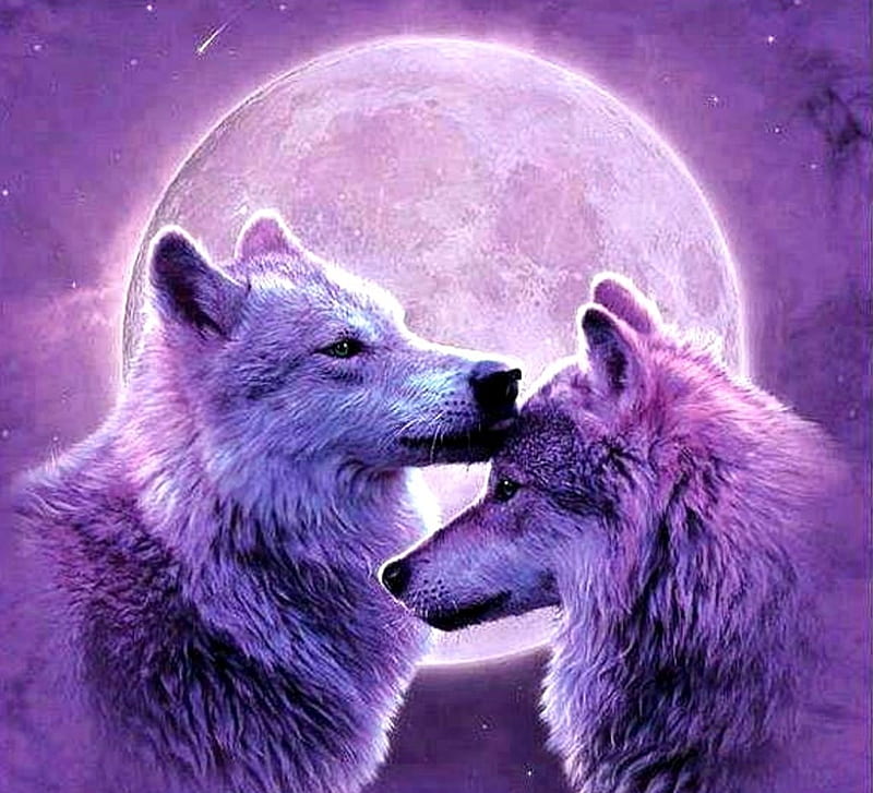 Wolves In The Purple Moon, fantasy, moon, purple, wild, creatures, wolves, loving, HD wallpaper