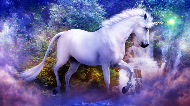 Unicorn, fantasy, white, purple, HD wallpaper