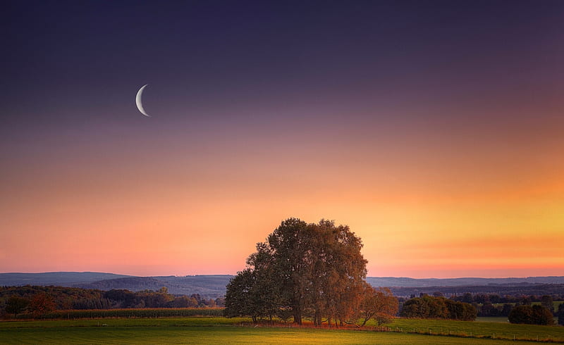 New Moon, sun, grass, bra, background, space, afternoon, sundown, nice, multicolor, paisage, sunbeam, hills, art, dawn, sunrays, ambar, bonito, seasons, artwork, leaves, roots, amber, fields, scenery, beije, blue, night, horizon, paisagem, nature, branches, scene, clouds, cenario, scenario, beauty, evening, sunrise, moons, paysage, cena, trees, sky, panorama, spatial, cool, awesome, new, sunshine, landscape, fence, colorful, autumn, sunny, trunks, grasslands, sunsets, amazing, multi-coloured, satellites, colors, leaf, universe, colours, natural, HD wallpaper