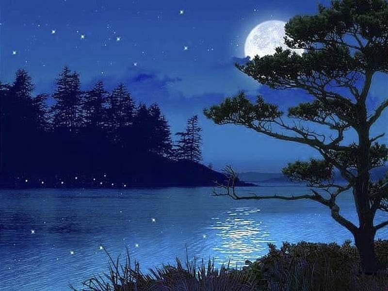 Blue moonlight, forest, colorful, bonito, lake, moon, splendor, moonlight, color, blue, night, HD wallpaper