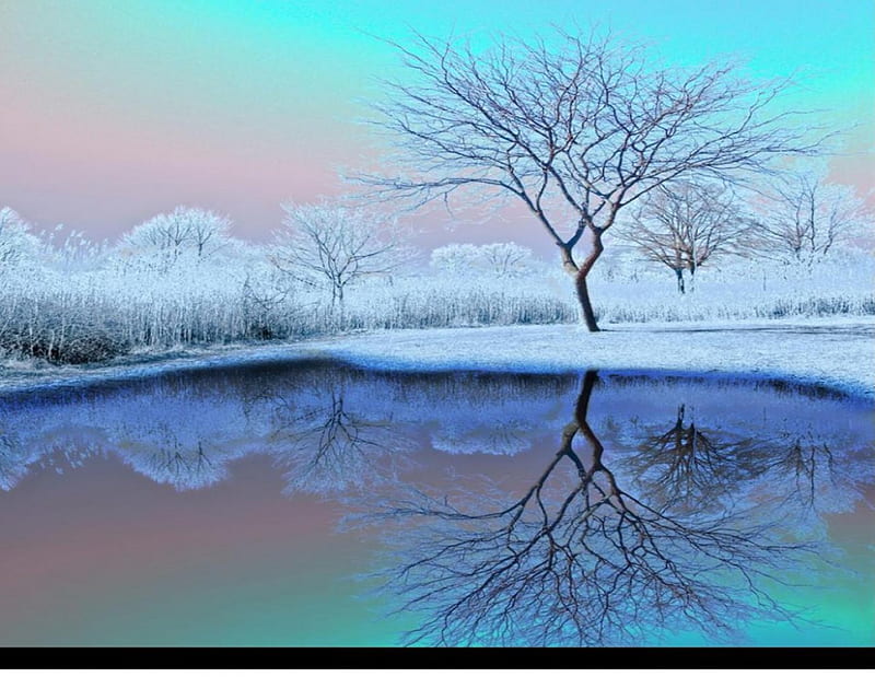 Blue reflection, pond, snow, reflections, winter, frost, cold, HD ...