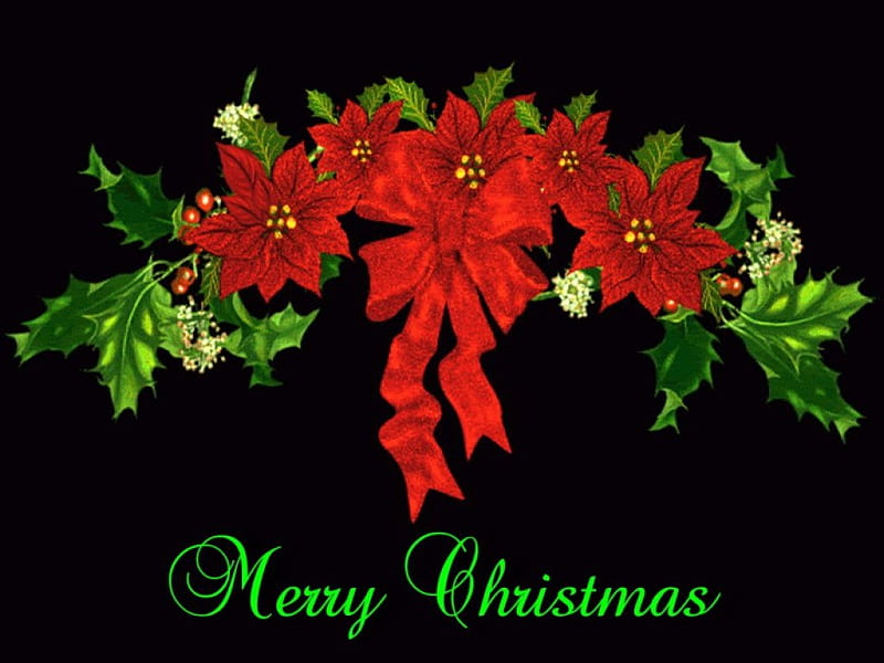 Poinsettia Christmas, Christmas, red, green, holly, poinsettia, HD wallpaper