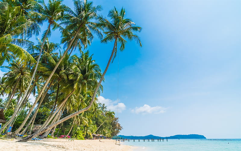 palms, beach, tropical island, summer ocean, Maldives, tourists, HD wallpaper
