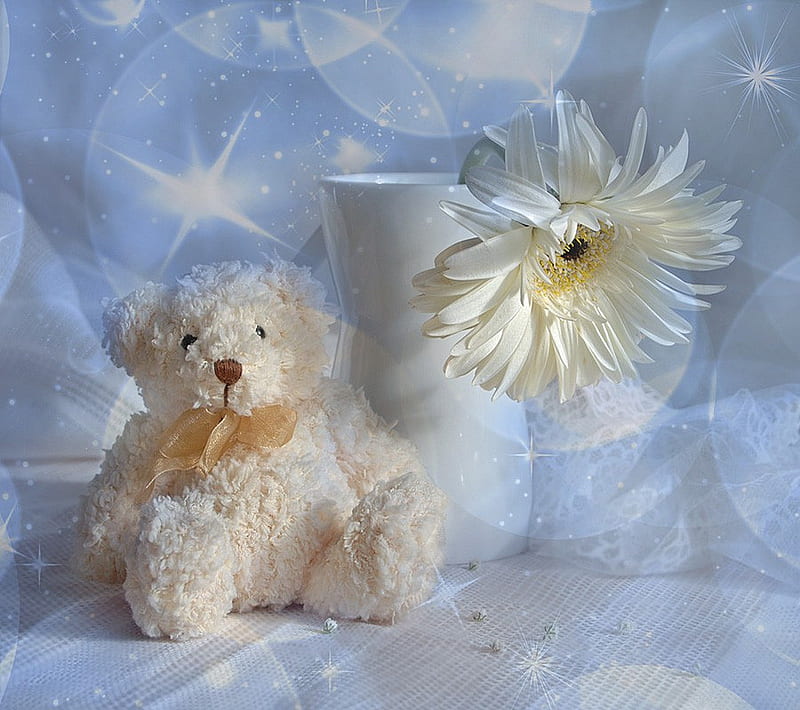 Still life, pretty, bear, vase, bonito, gently, graphy, nice, beauty, blue, harmony, gerber, lovely, colors, toy, soft, cool, flower, white, teddy bear, HD wallpaper