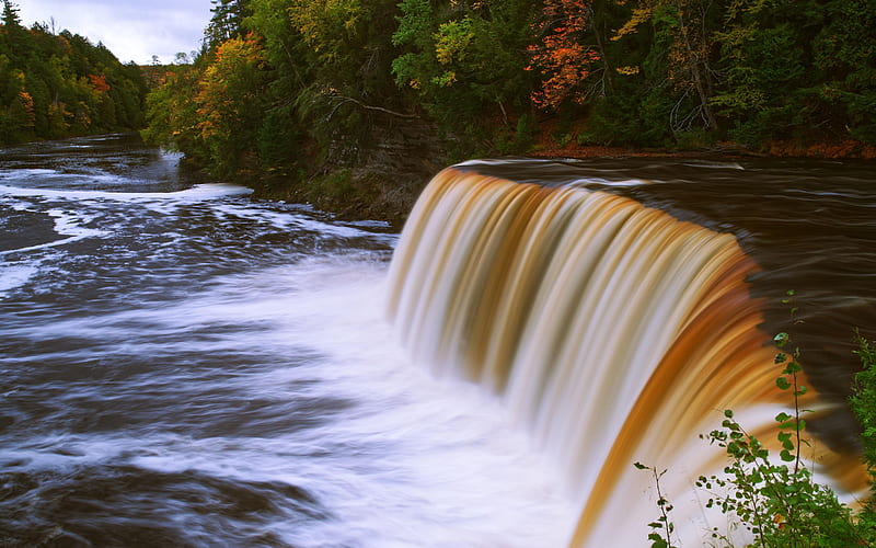 Tahquamenon Falls, Michigan’s Upper Peninsula, water, river, trees, usa, HD wallpaper