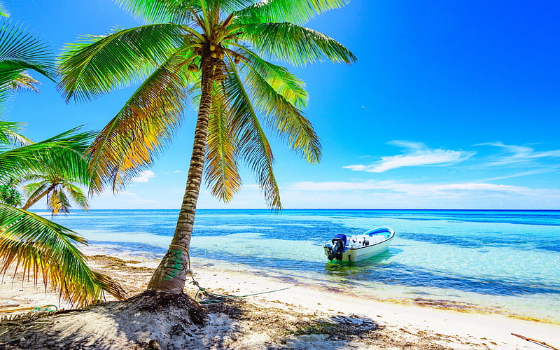 Summer, ocean, tropical islands, beach, palm trees, boat, waves, coast, HD wallpaper