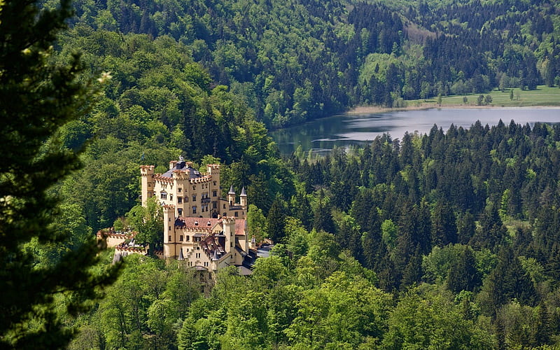 mountain, forest, Hohenschwangau Castle, Germany, Bavaria, Schwansee Lake, HD wallpaper