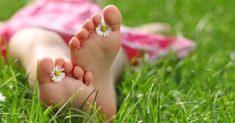 Feet on grass, rest, grass, relax, holydays, daisies, soles, green, toes, nature, barefoot, HD wallpaper