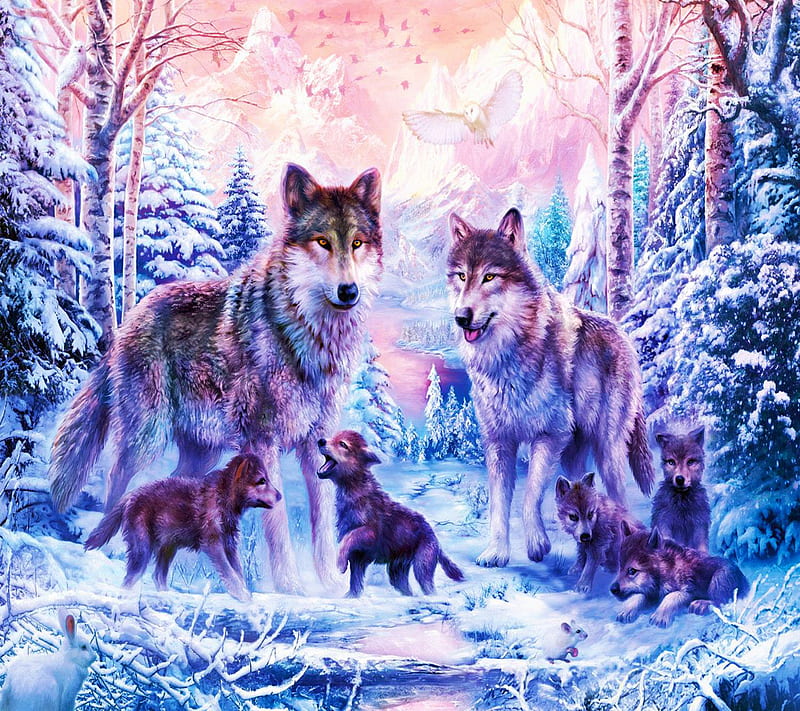 Winter Wolf, HD wallpaper